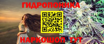 гидропоника Будённовск