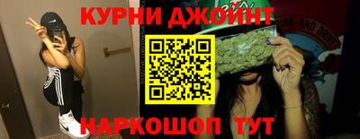 гидропоника Будённовск