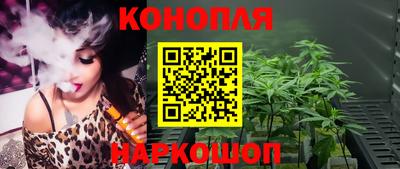гидропоника Будённовск