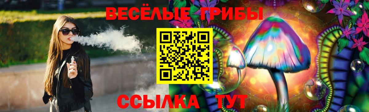 Слободской  купить наркотики сайты  Вход с VPN  Псилоцибиновые грибы мухоморы  Псилоцибиновые грибы GOLDEN TEACHER 